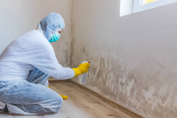 Licensed Commercial Mold Remediation service in Camp Hill, PA - WQB Mold Removal
