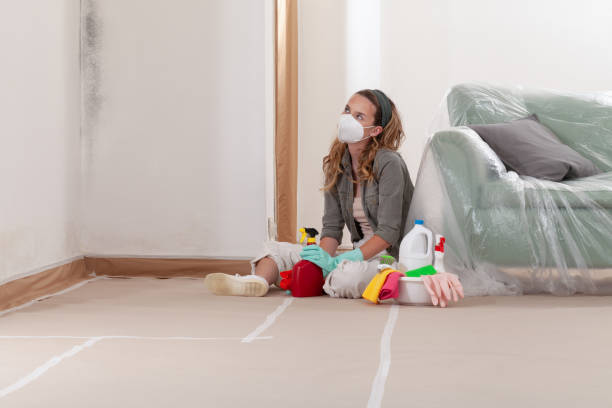 Reliable Commercial Mold Remediation contractor in Camp Hill, PA by WQB Mold Removal